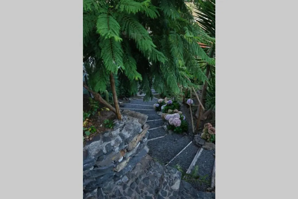 Chalet Ga281 Villa Funchal